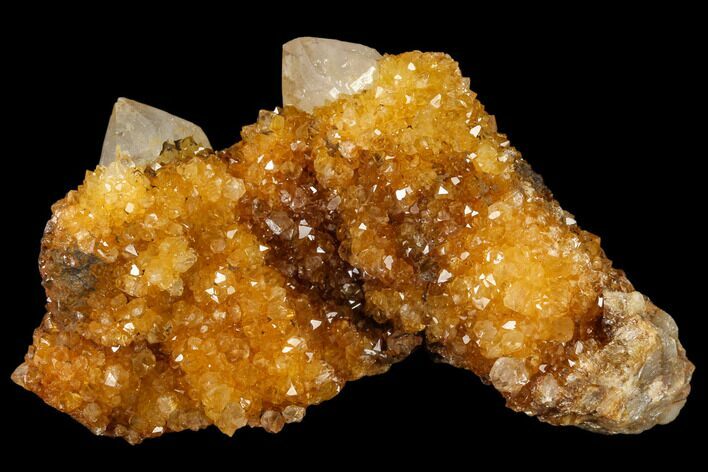 Sunshine Cactus Quartz Crystal Cluster - South Africa #115162